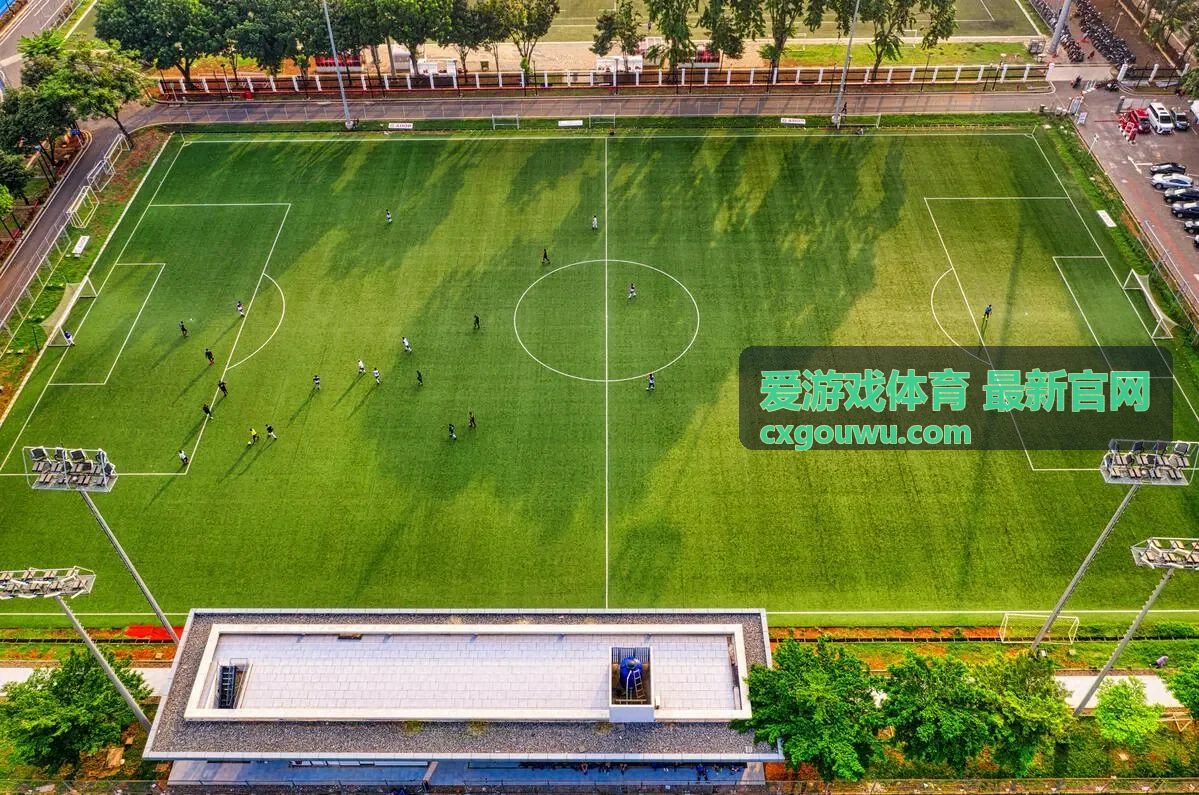 爱游戏体育最新攻略